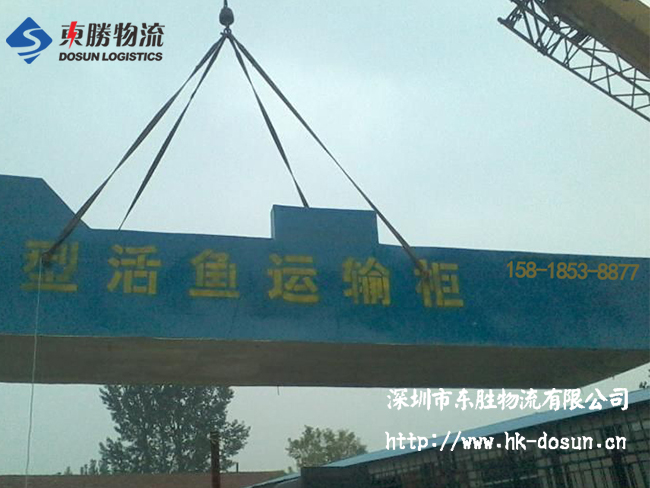 物流活體魚要注意哪些事項(xiàng)？該怎么運(yùn)輸？深圳到香港物流,香港深圳貨運(yùn)運(yùn)輸,深圳香港進(jìn)出口,深港物流專線,中港物流,東勝物流集團(tuán)-大件物流到香港