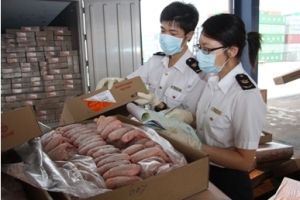 深圳凍肉進(jìn)口報(bào)關(guān)公司；深圳到香港物流-深圳東勝物流